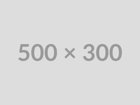 500x300