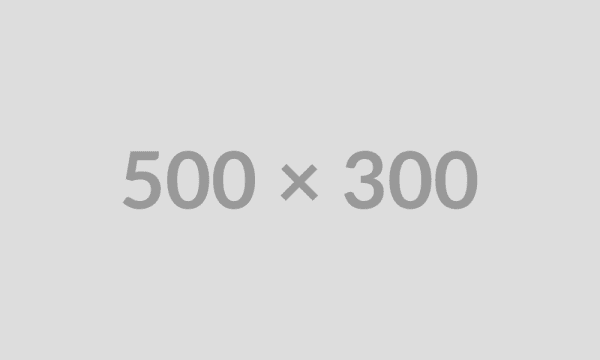 500x300
